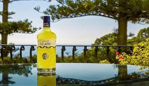 Limoncello Dicapri